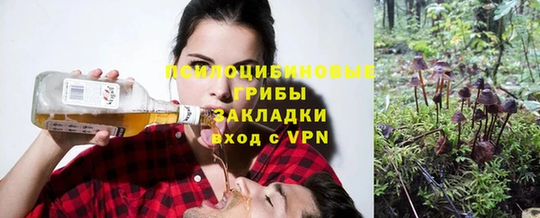 кокаин Алексеевка