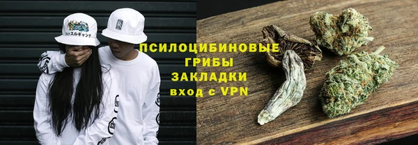 спиды Алексин
