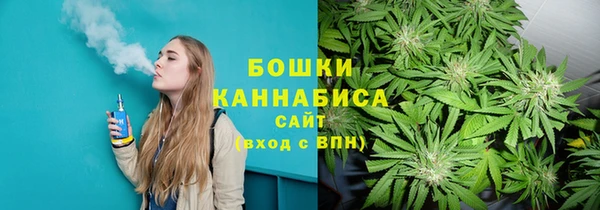 спиды Алексин
